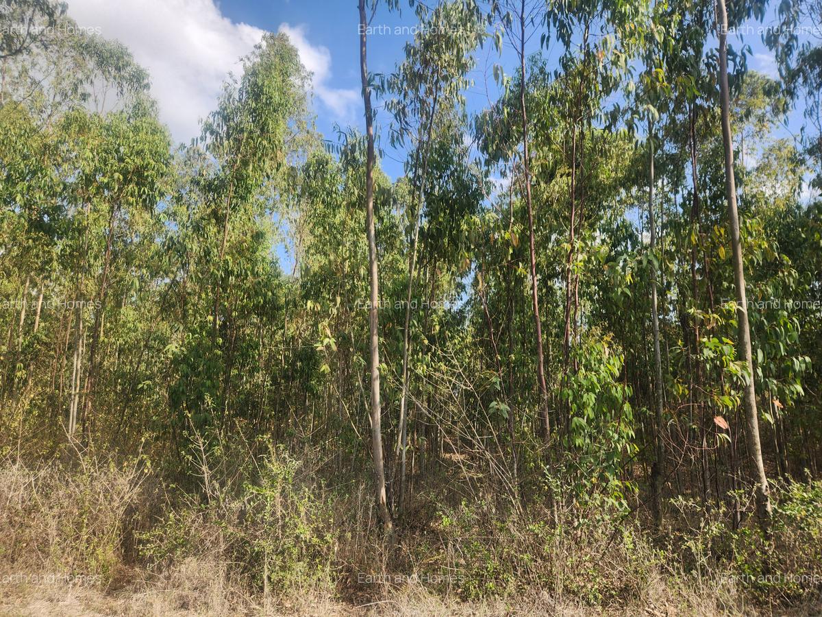 1 ac Commercial Land at Kerarapon - 3