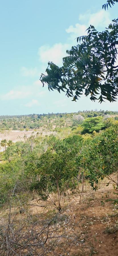 Land in Kilifi - 5