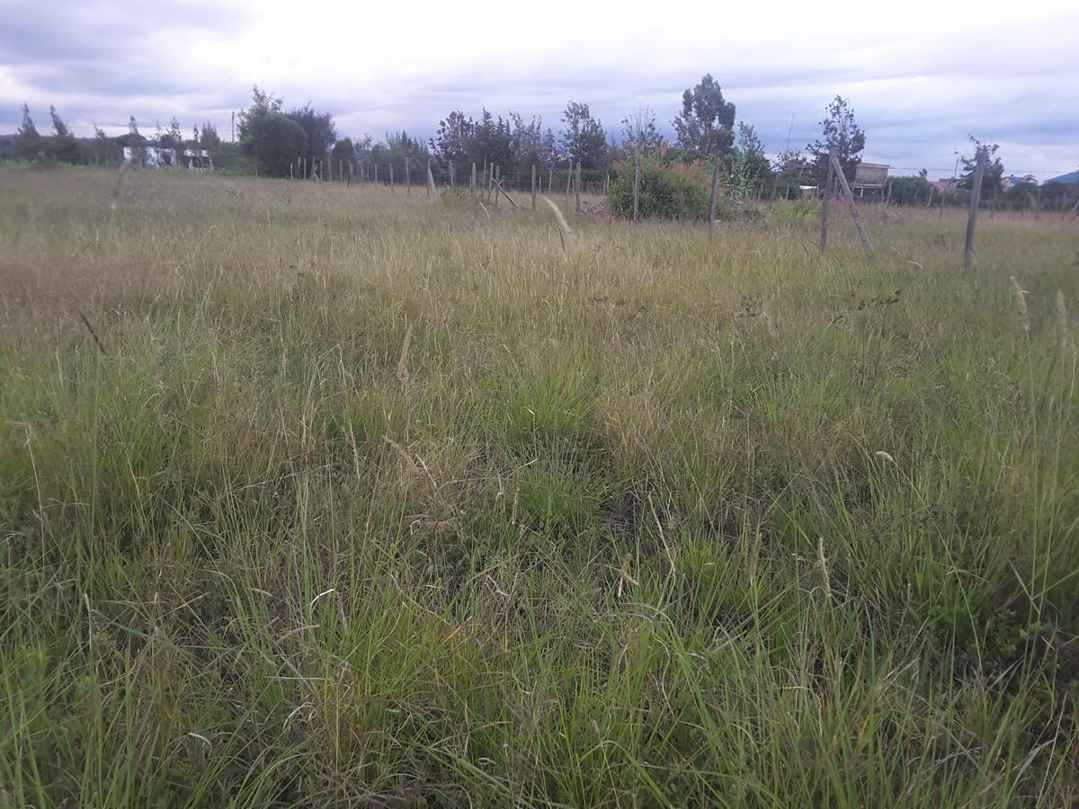 0.113 ac Residential Land in Ongata Rongai - 4