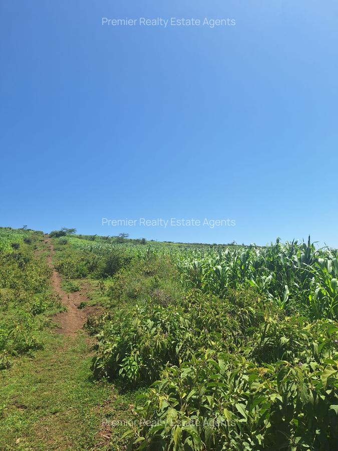 0.25 ac Residential Land at Nakuru - 6