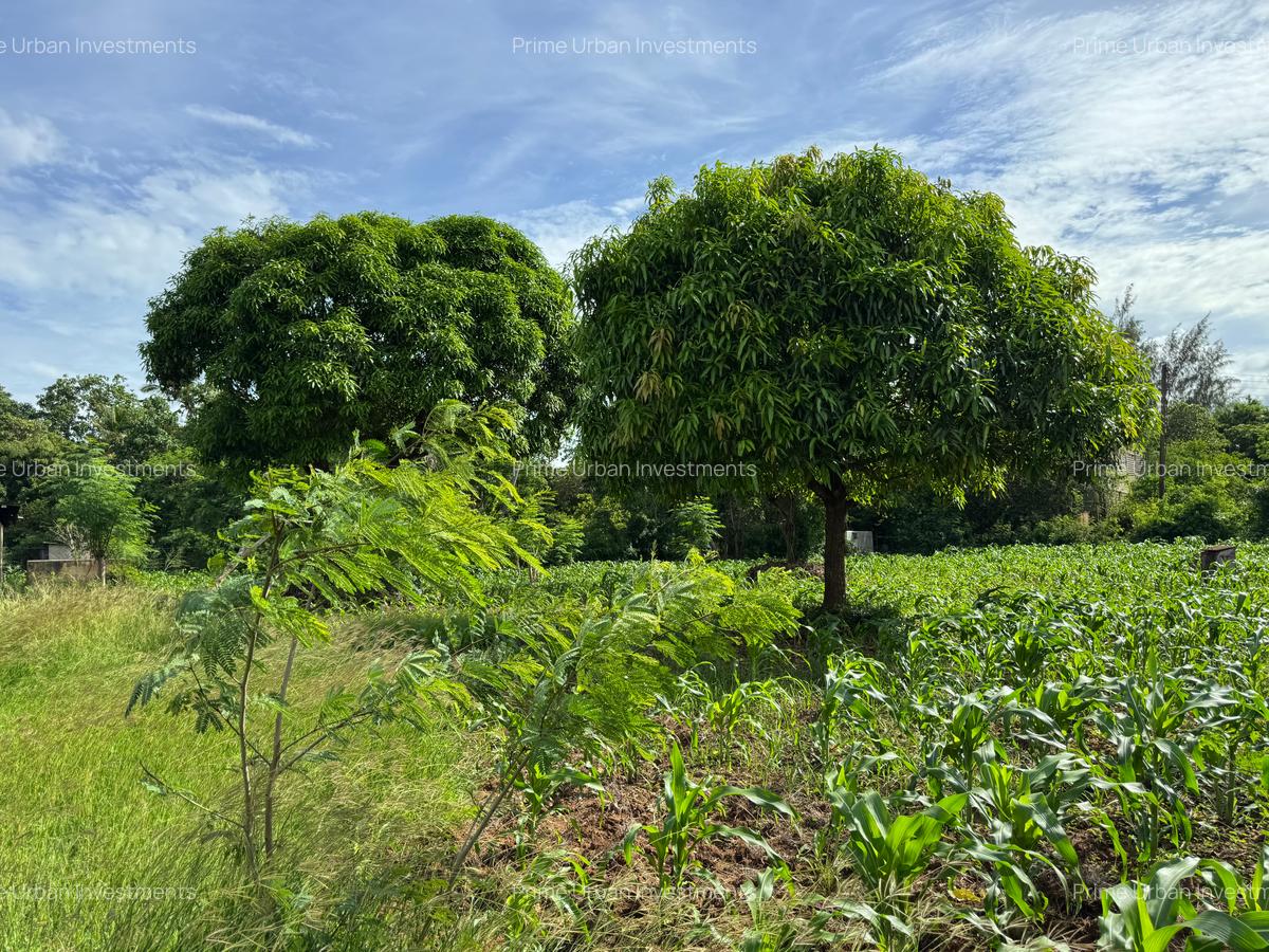 Land in Kikambala - 2