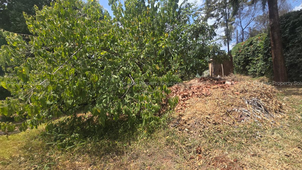 0.5 ac Residential Land at Mimosa - 4