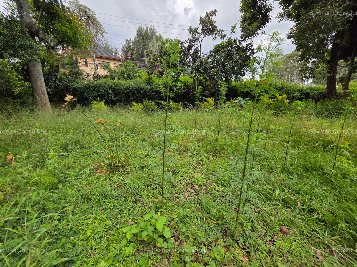 Commercial Land in Lavington - 3