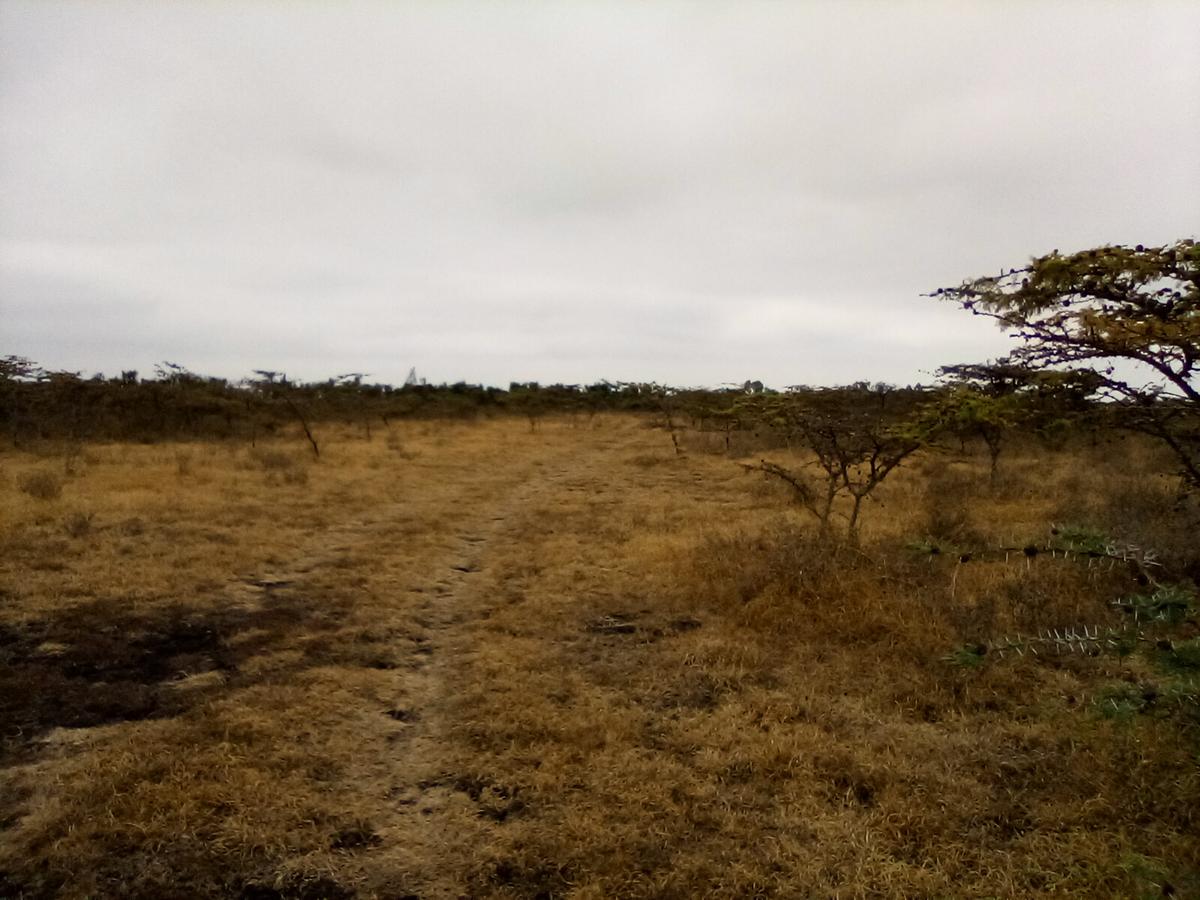 Land in Ongata Rongai - 11