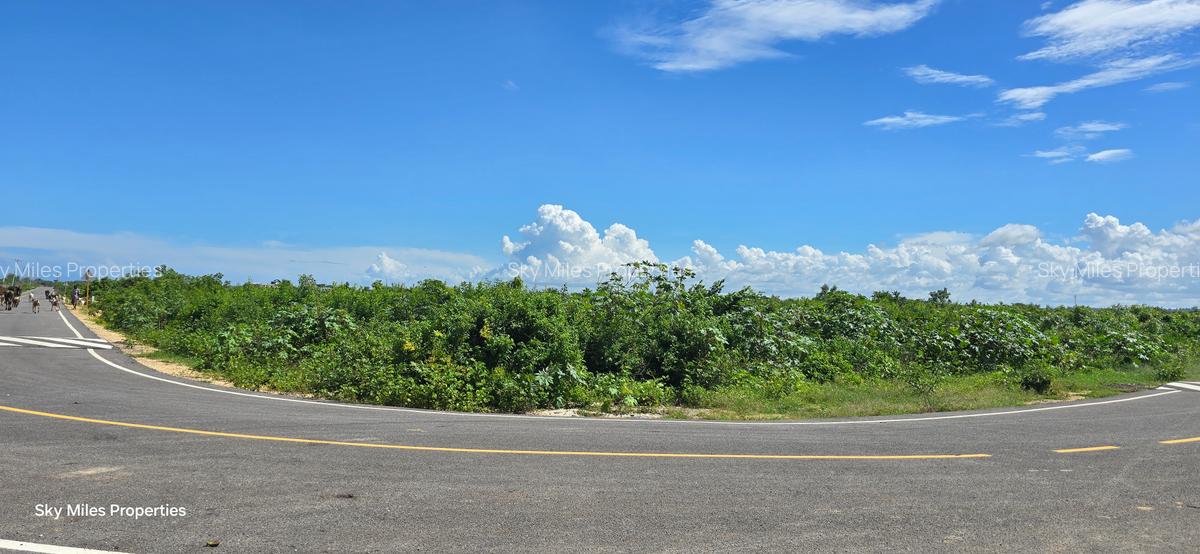 1,000 m² Land at Vipingo - 7