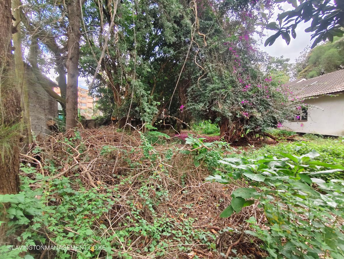 0.42 ac Land at Vihiga Road - 3