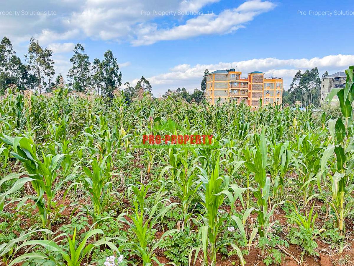 0.05 ha Commercial Land at Sigona - 11