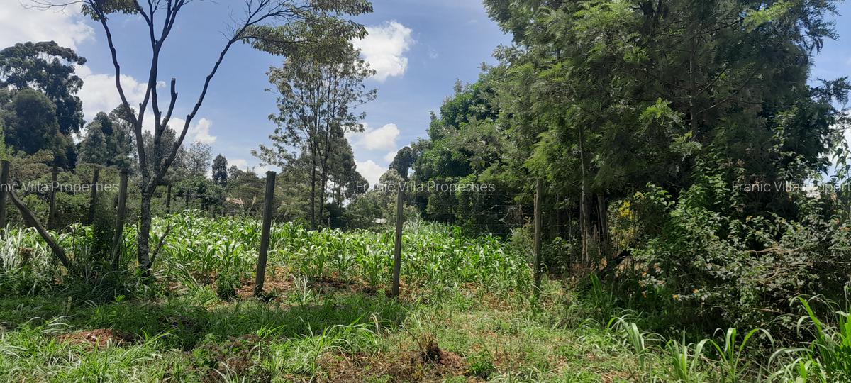 Residential Land at Karuri - 13