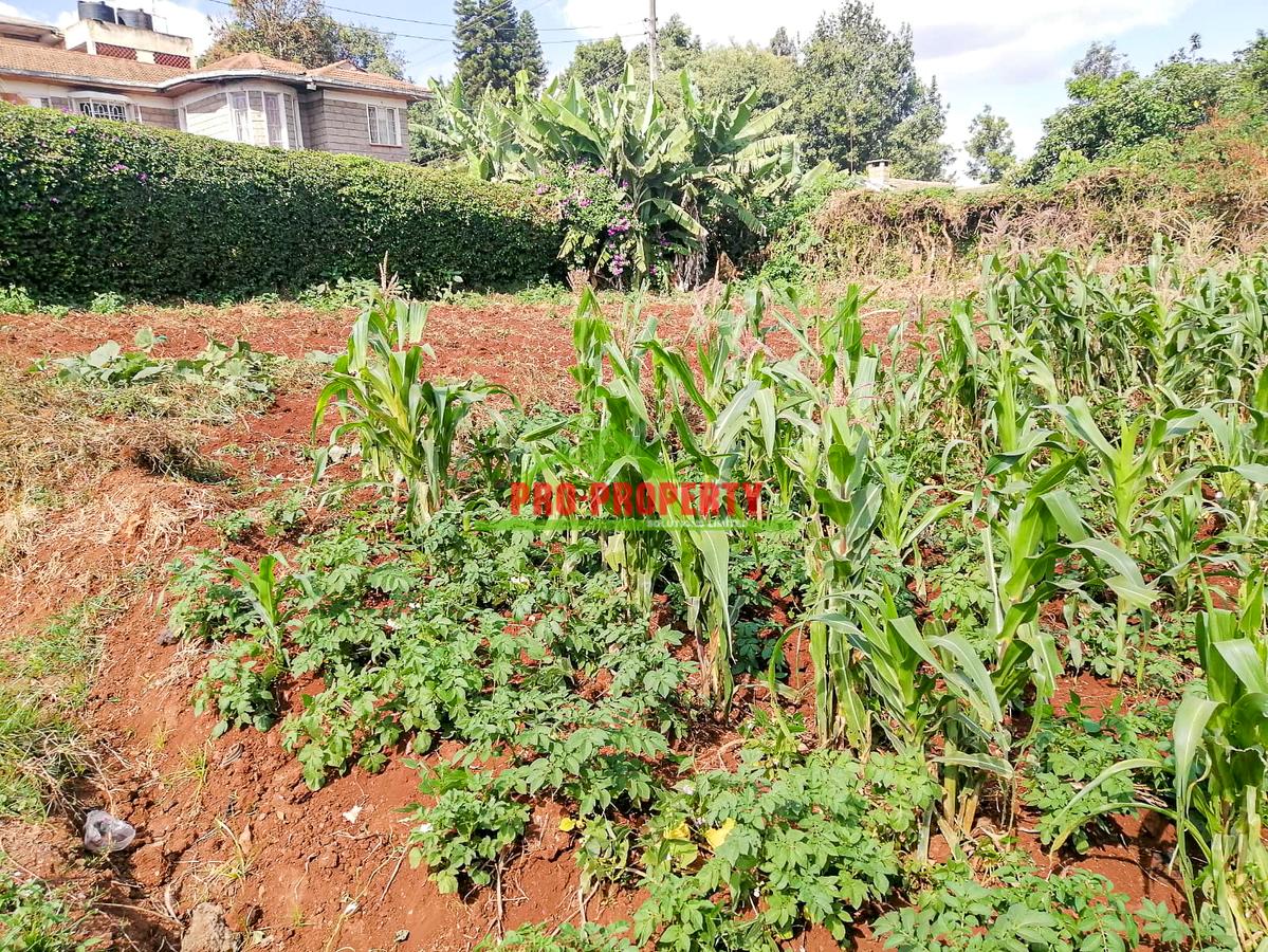 0.125 ac Commercial Land at Kikuyu - 7