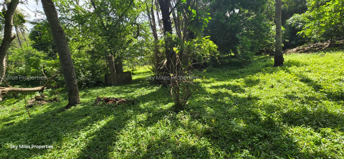 20 ac Land at Mtwapa - 12