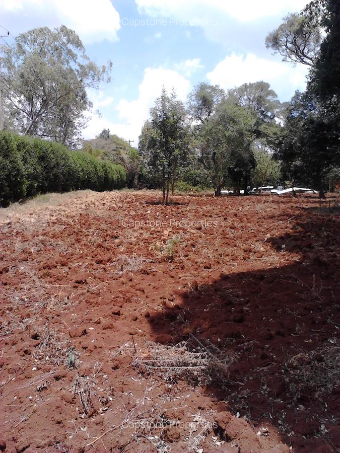 Residential Land at Runda - 3