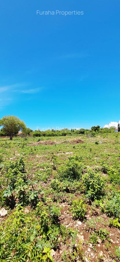 Land at Diani Beach - 14