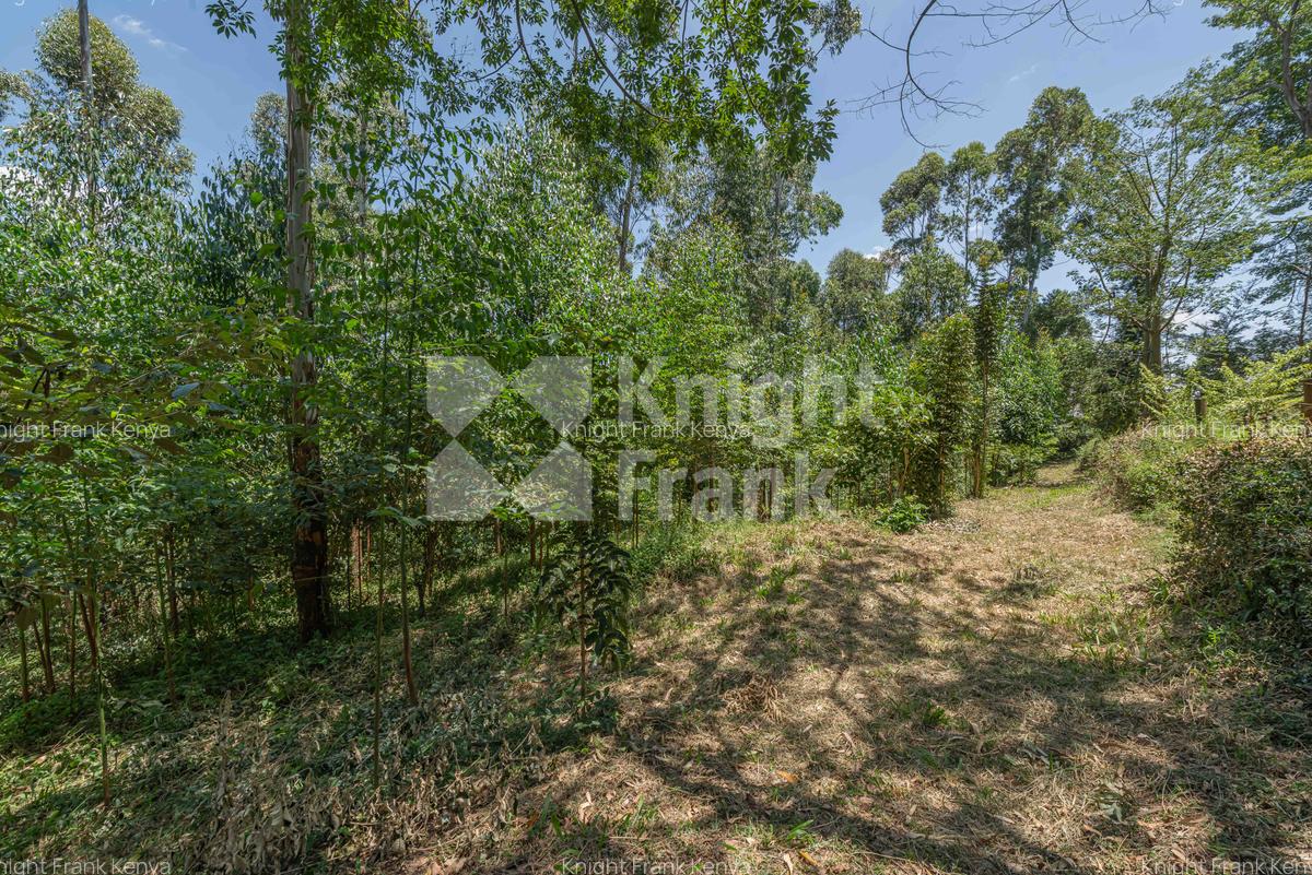4.8 ac Land at Riara Ridge - 11