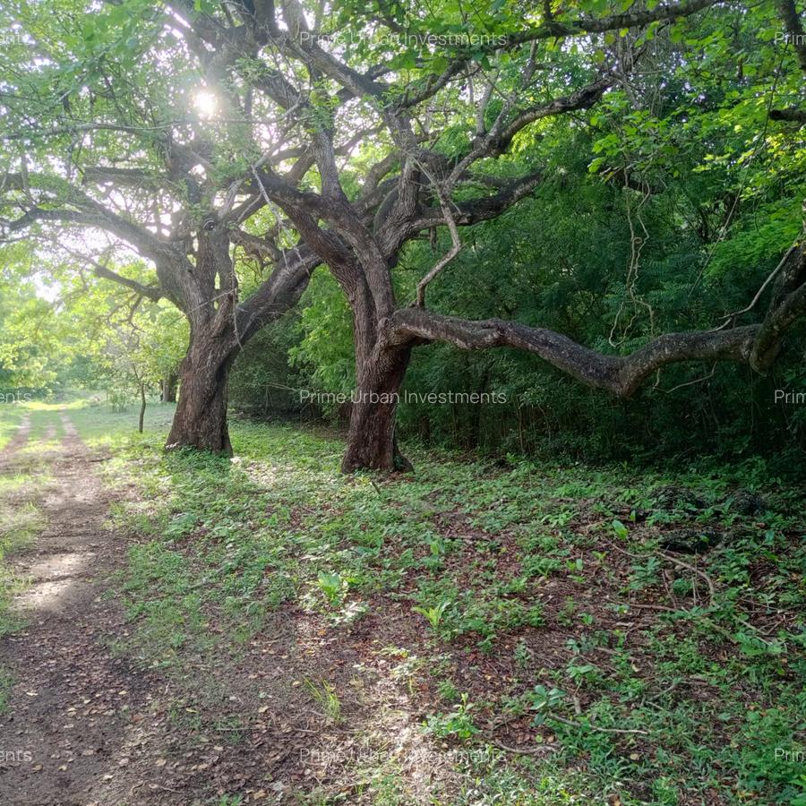 90 ac Residential Land at Kuruwitu-Vipingo - 3