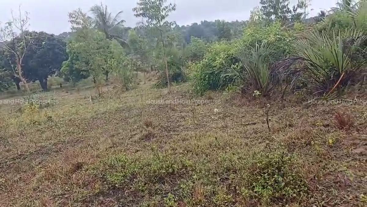 2.8 ha Commercial Land at Tiwi - 16