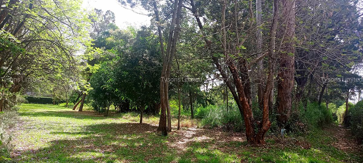 10 ac Land in Karen - 4