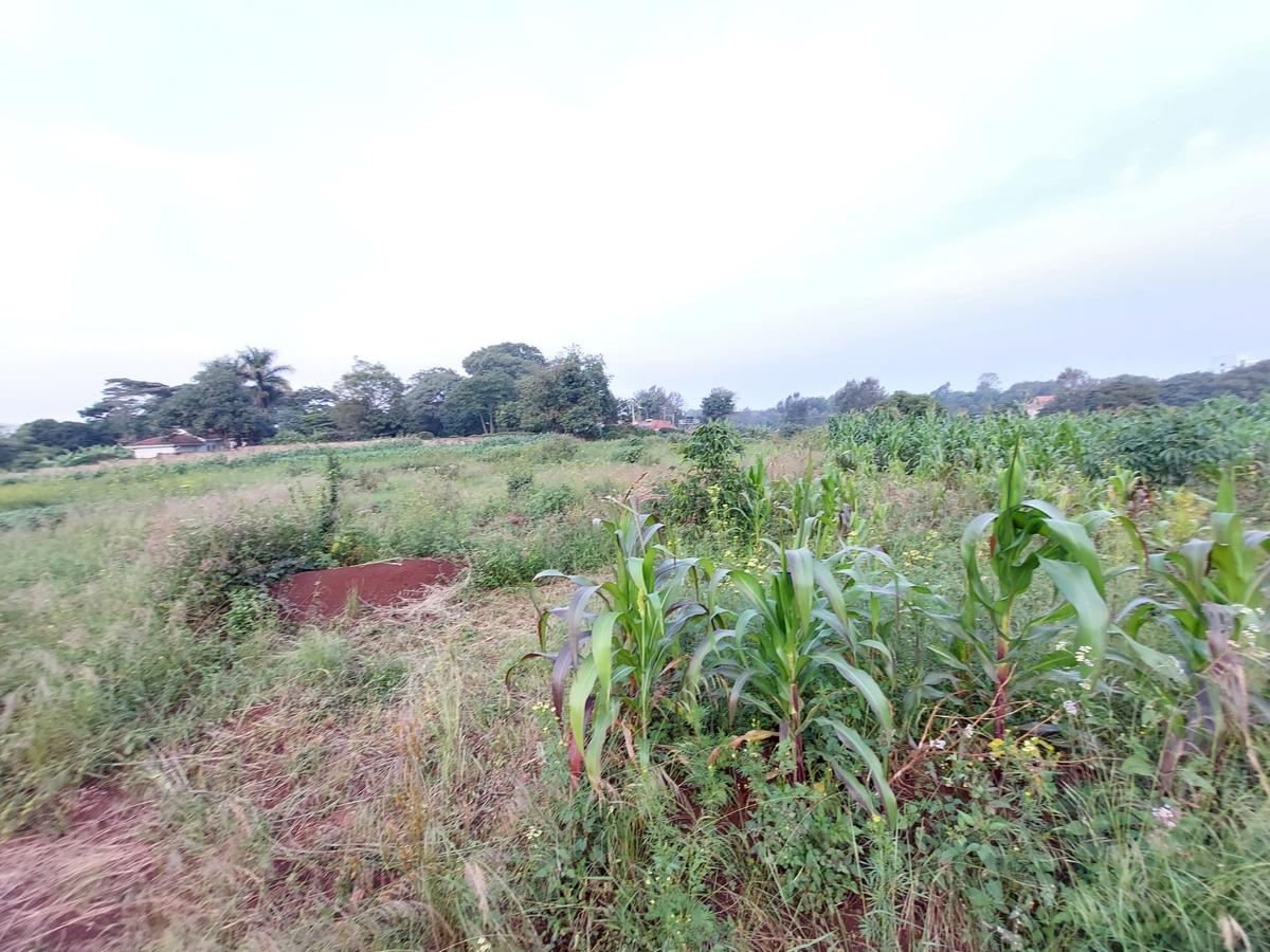 Residential Land at Kirawa Road - 13