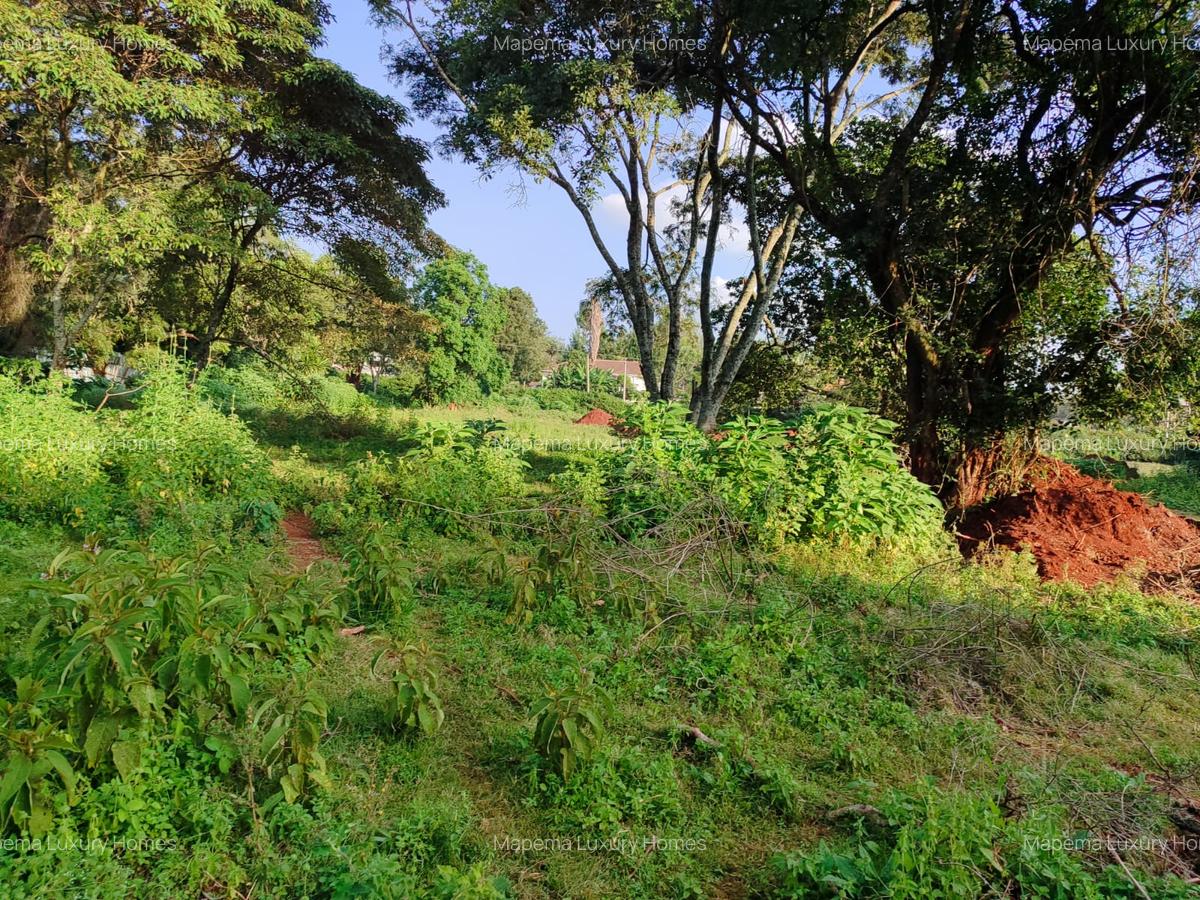 Residential Land at Karen - 15