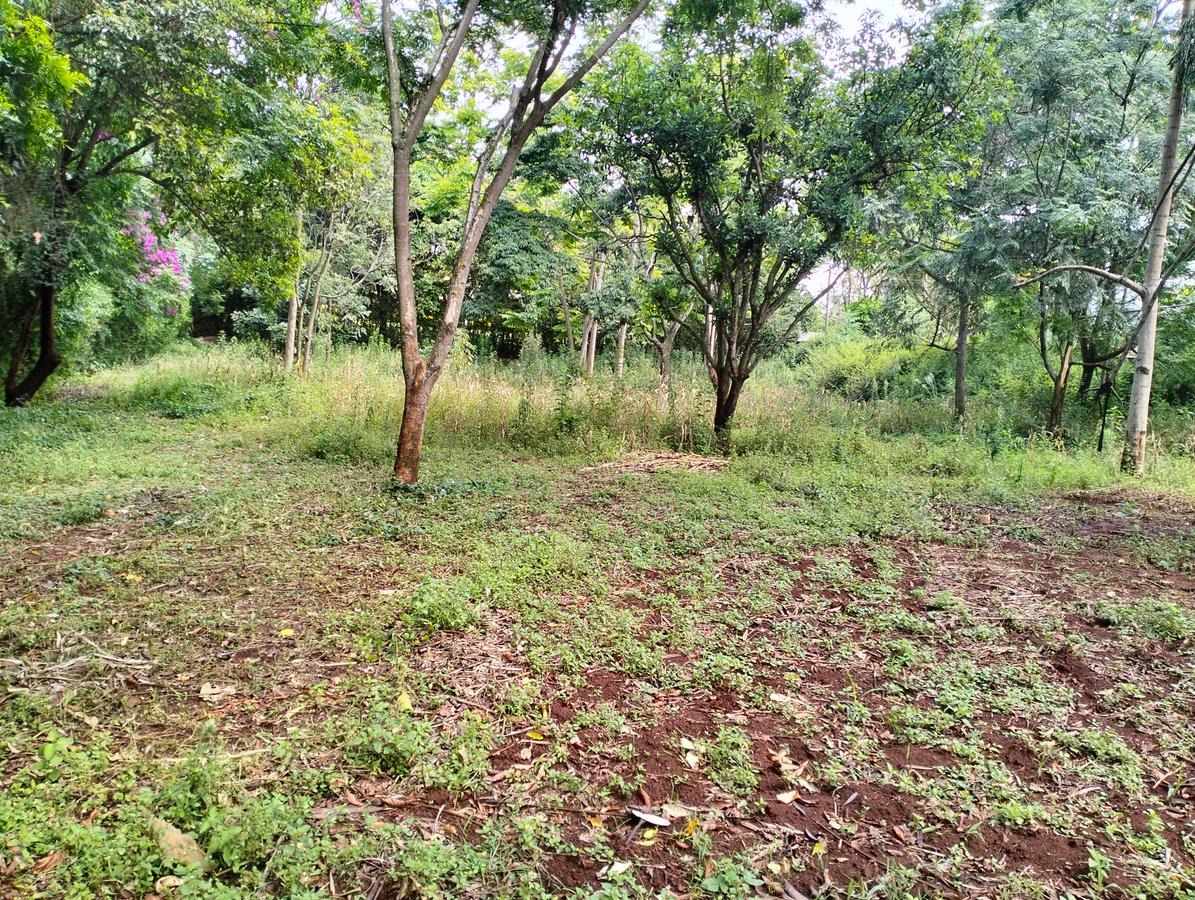 1 ac Land in Runda - 3