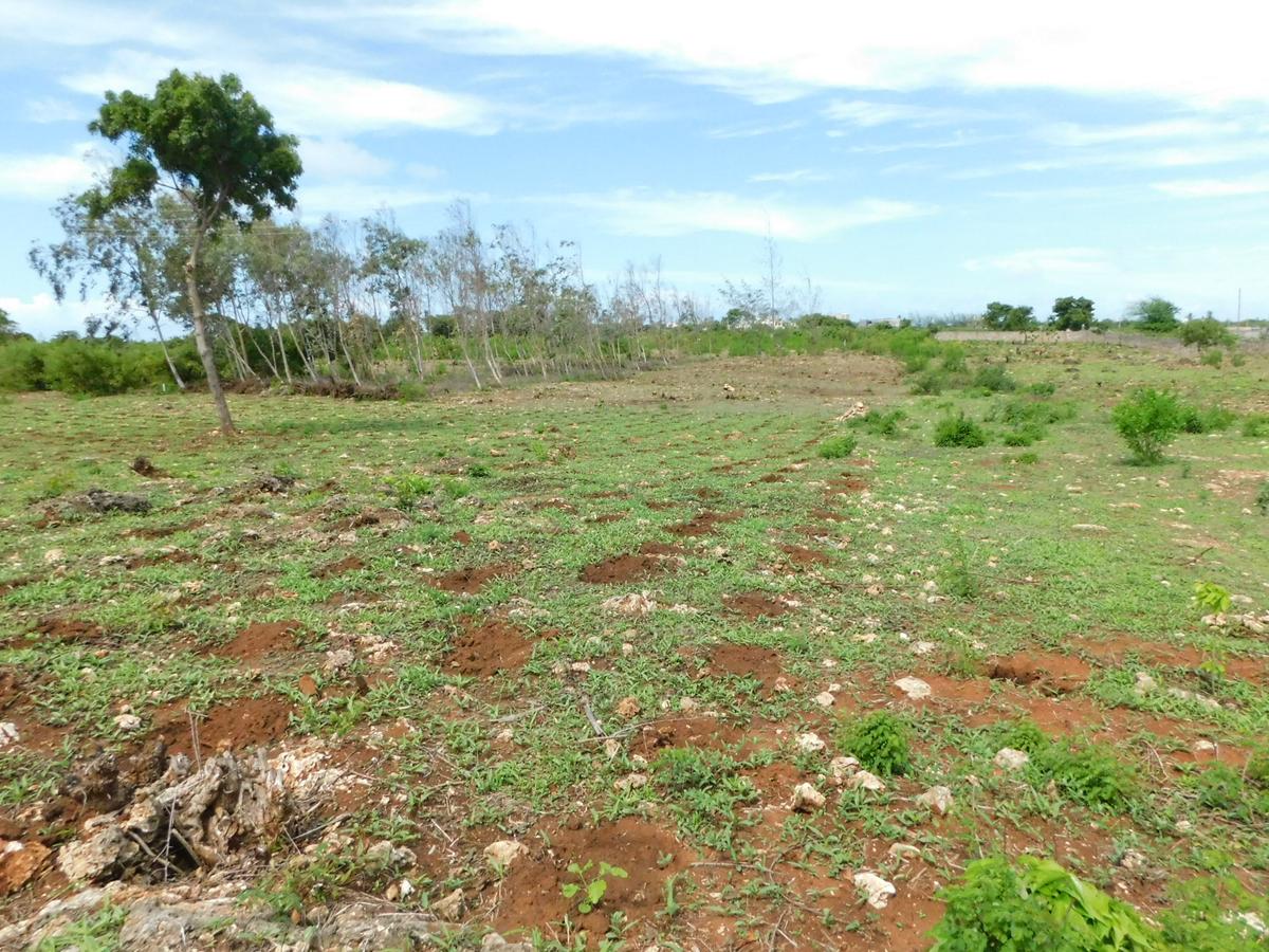 10,000 ft² Land at Vipingo - 6