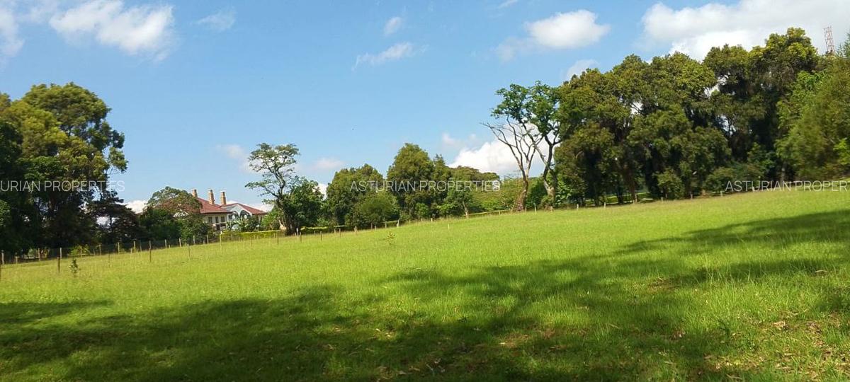 1 ac Land in Karen - 6