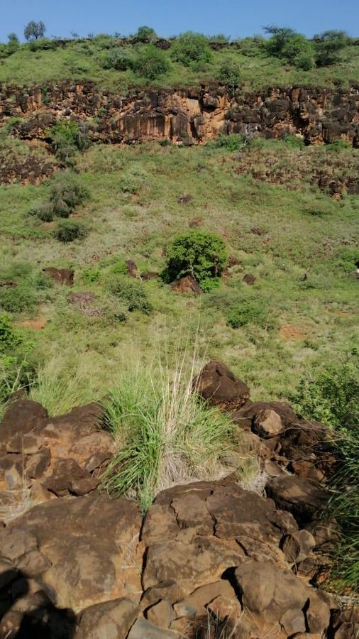 100 ac Land at Olepolos - 10
