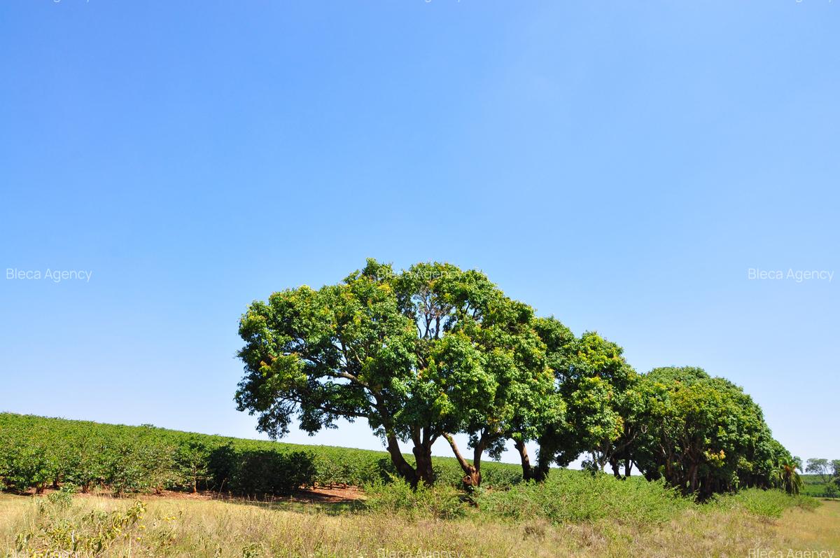 Residential Land at Juja-Gatundu Rd - 16