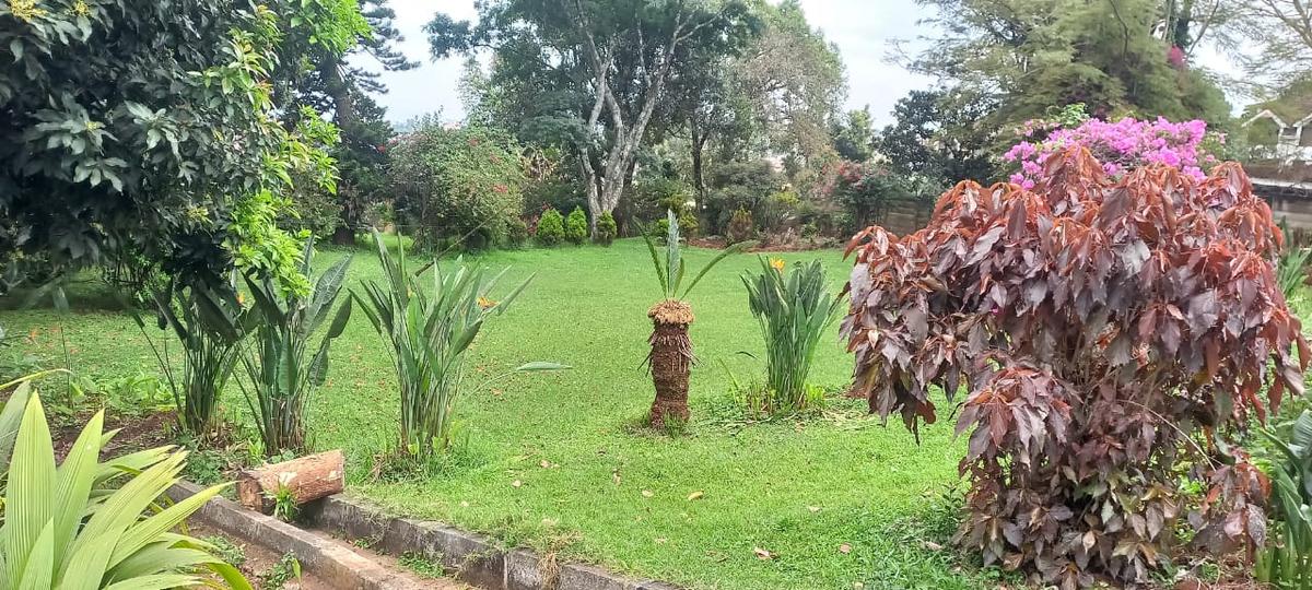 1.5 ac Land in Lavington - 7