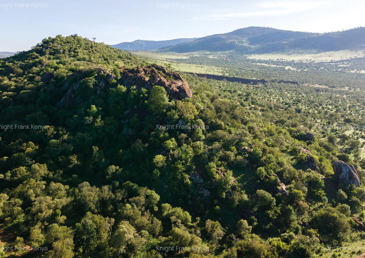 30.3 ac Land at Lolldaiga Valley - 1