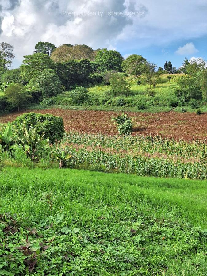 1 ac Residential Land at Tigoni - 7