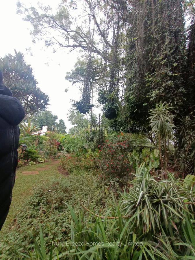 0.5 ac Land in Westlands Area - 8