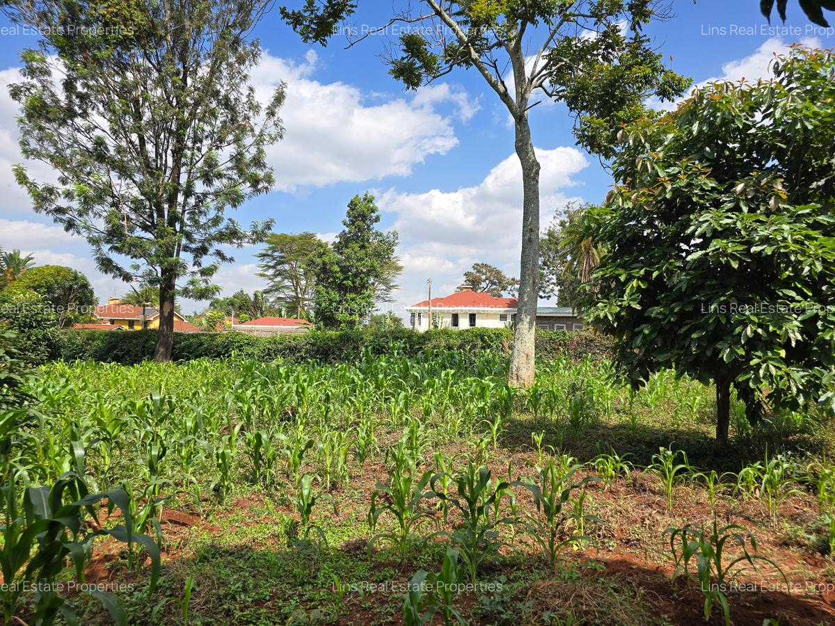 Residential Land in Runda - 13