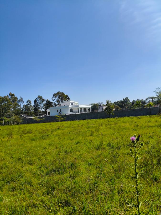 Residential Land at Marula Road - 17