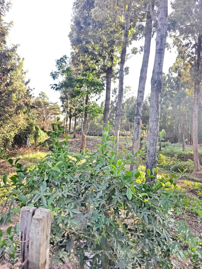 0.3 ac Land at Kabiria - 2