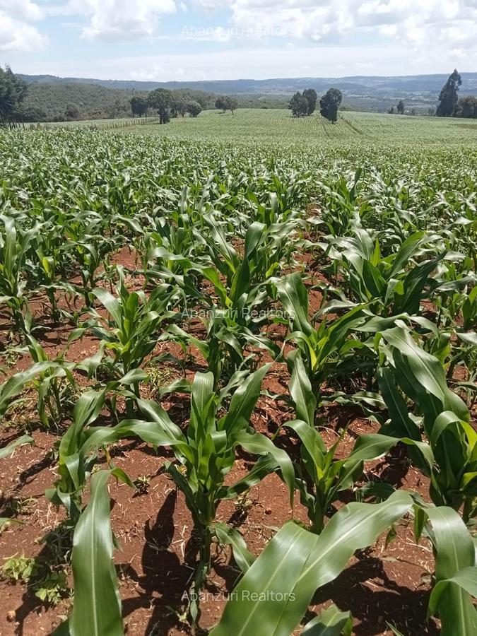 Land at Muhotetu - 5