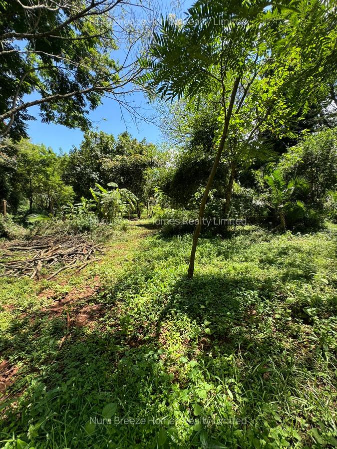 0.5 ac Residential Land in Kitisuru - 4