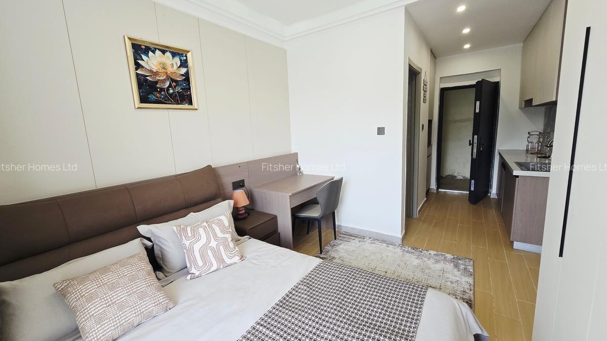 Studio Apartment with En Suite in Thika Road - 6