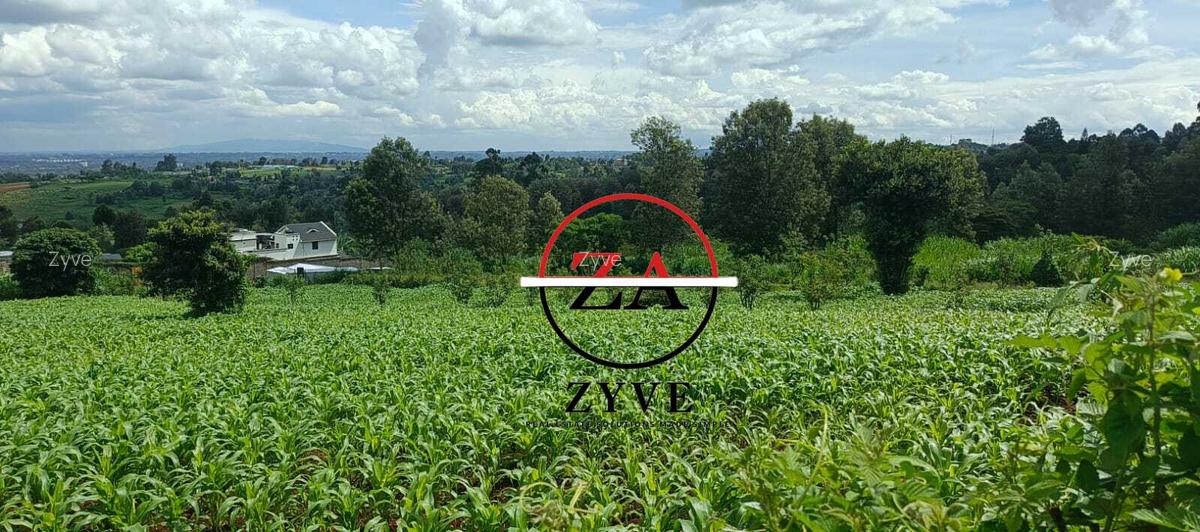 0.125 ac Land at Kanunga Kiambu Road - 7
