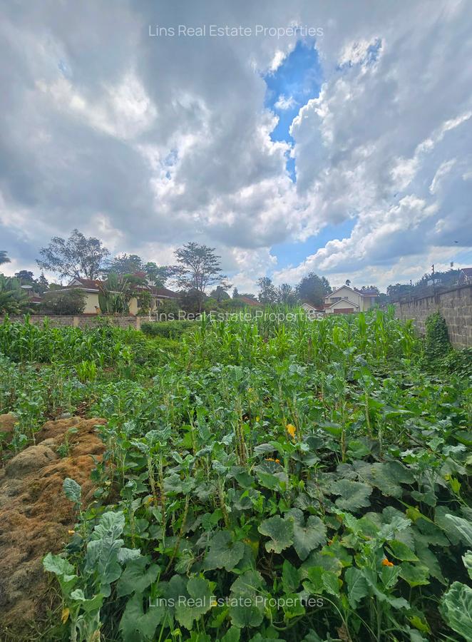 Residential Land in Runda - 6
