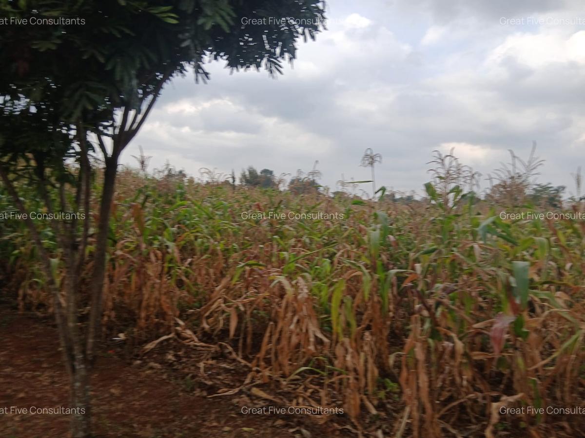 0.5 ac Land in Nyari - 2