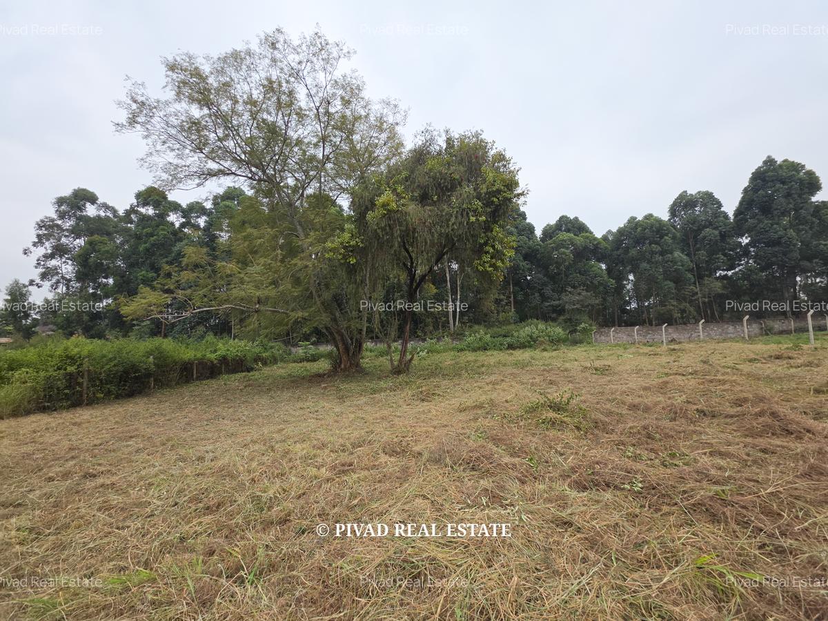1 ac Land in Garden Estate - 4