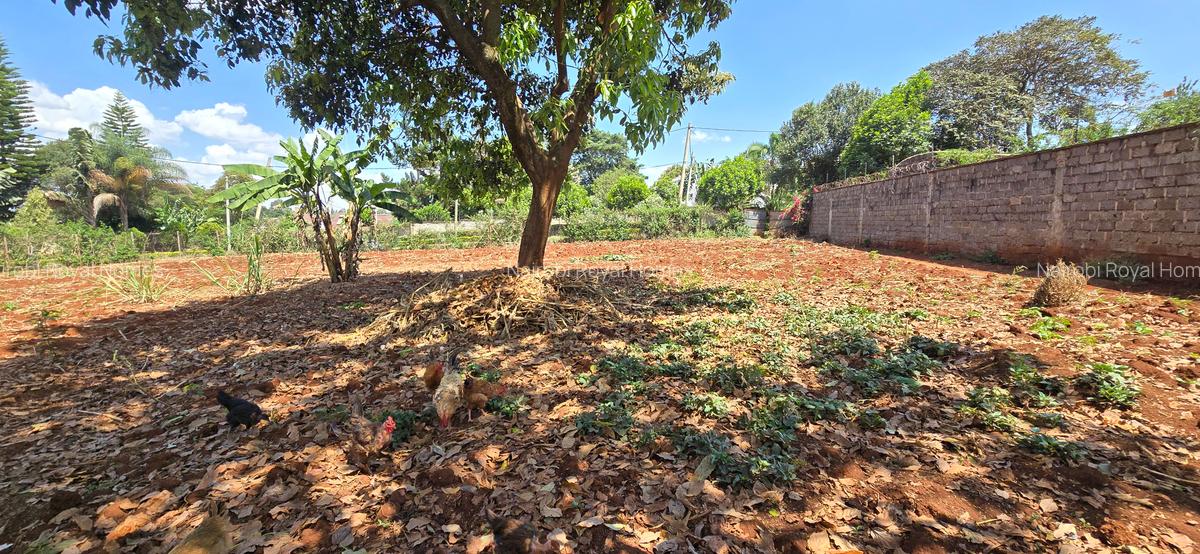 Residential Land at Runda Road - 3