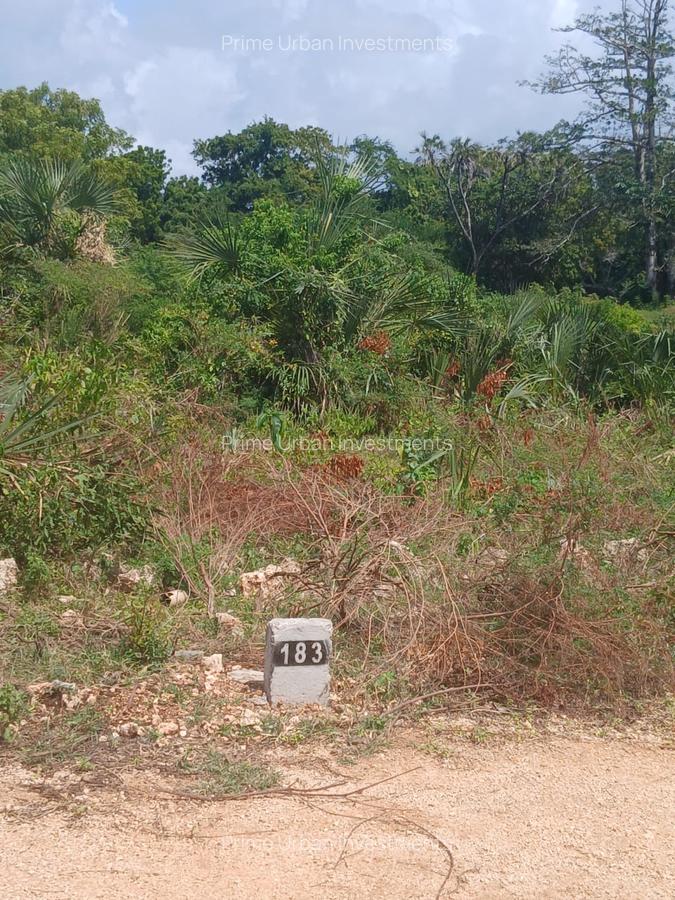 1,000 m² Residential Land at Vipingo - Kuruwitu - 15