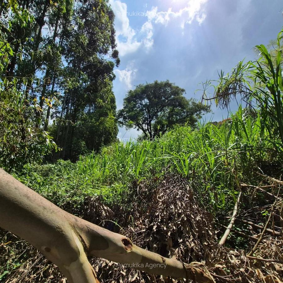 Commercial Land in Kitisuru - 6