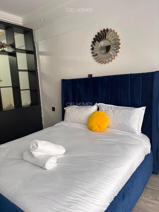 Serviced Studio Apartment with Gym at Tabere Drive - 17