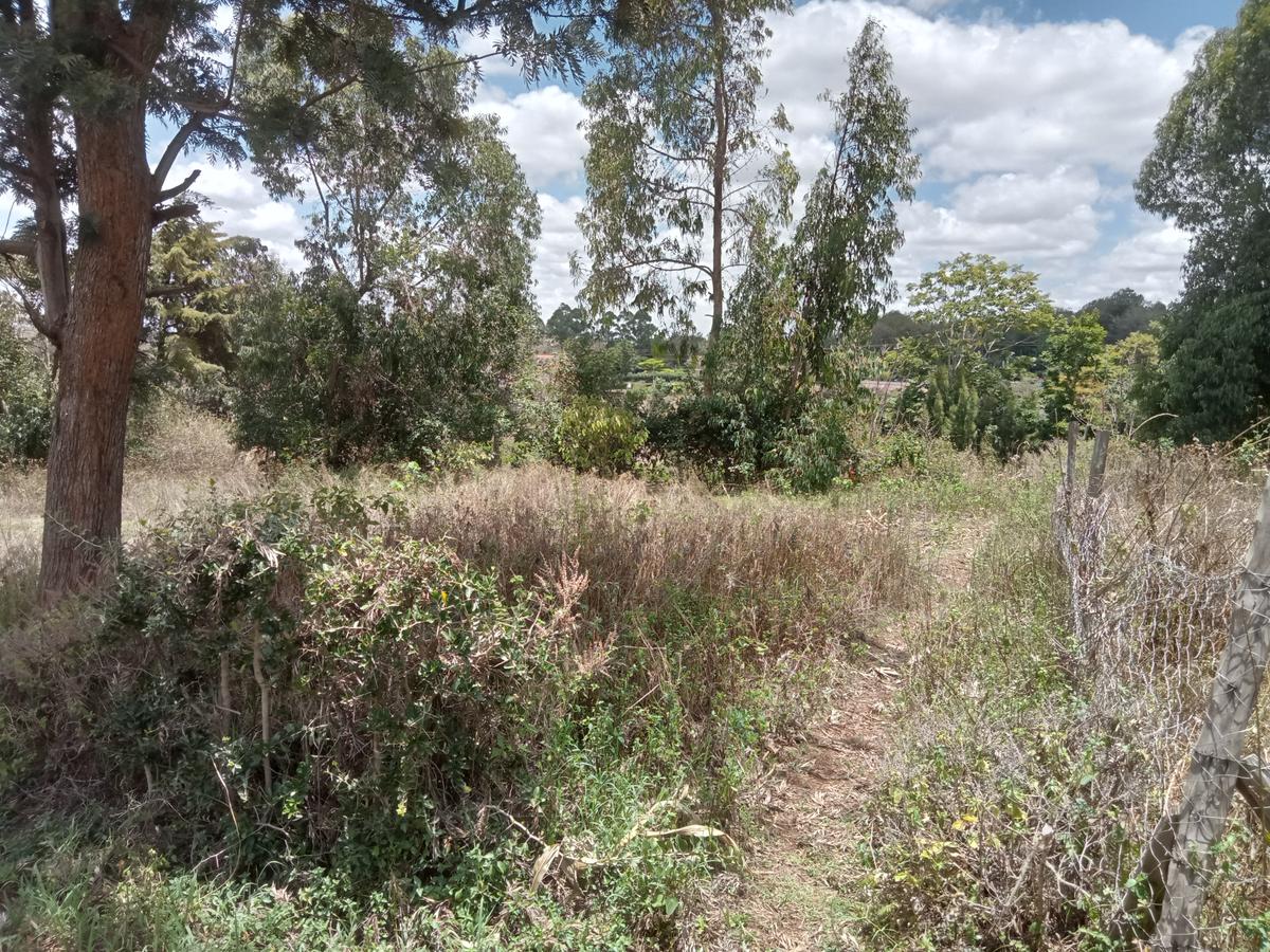 Residential Land at Upper Matasyia - 1