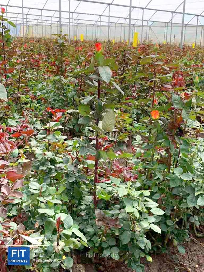 120 ac Land at Nyandarua County - 12