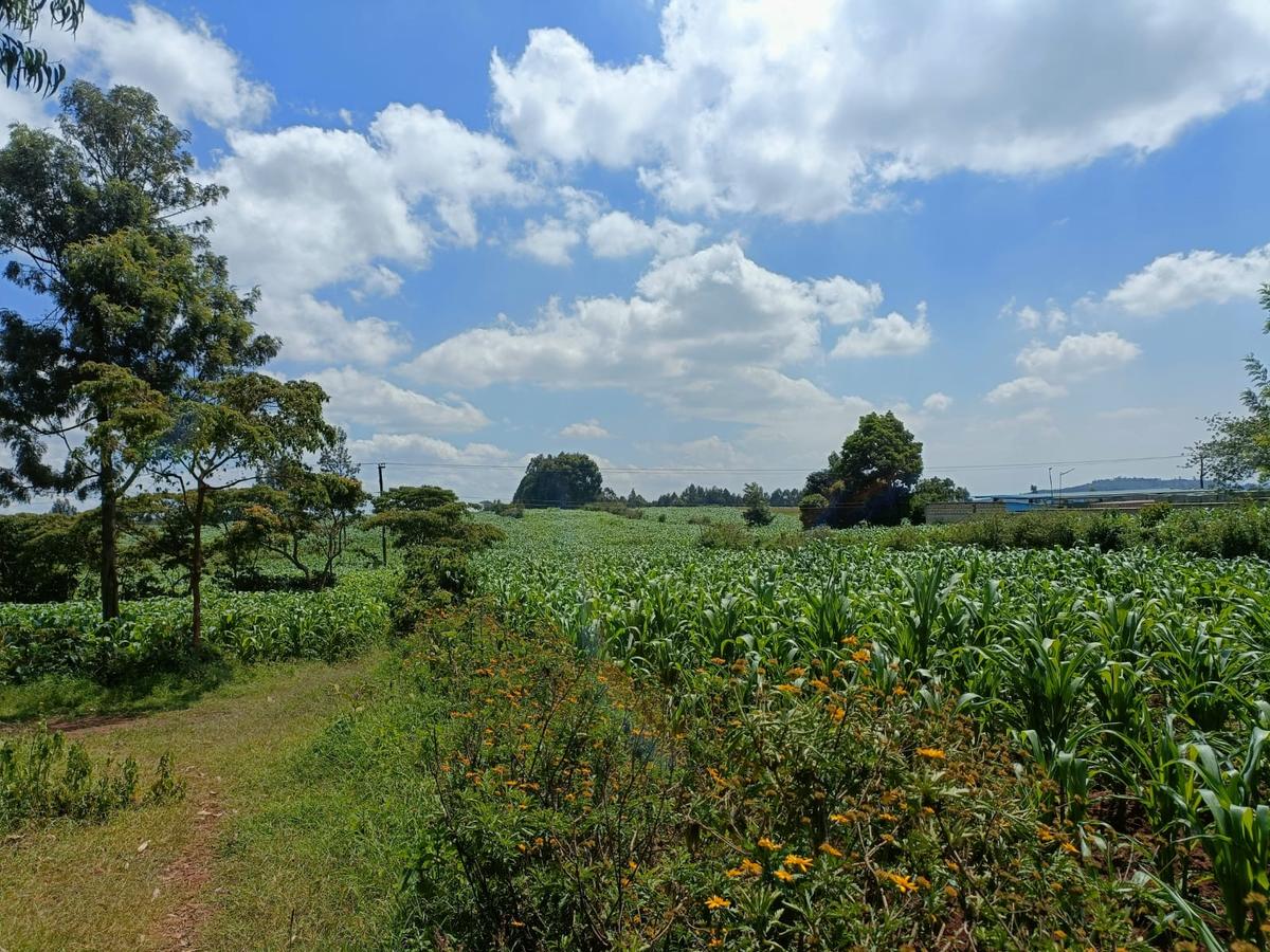 0.043 ha Land at Limuru Uplands - 1