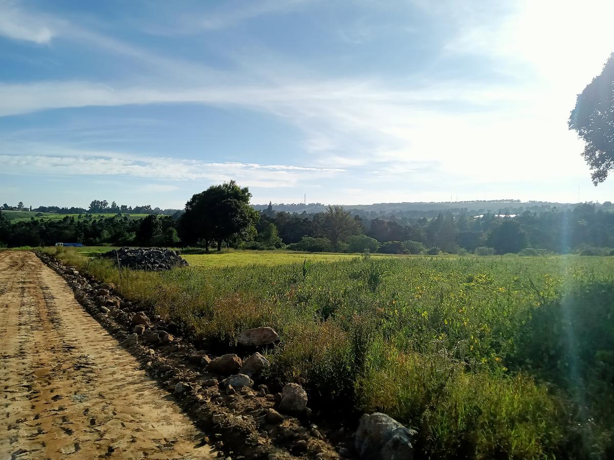 Residential Land in Tigoni - 17