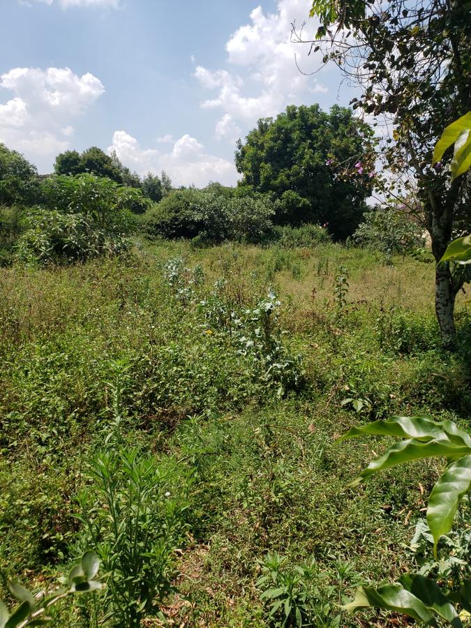 0.5 ac Land in Karen - 1